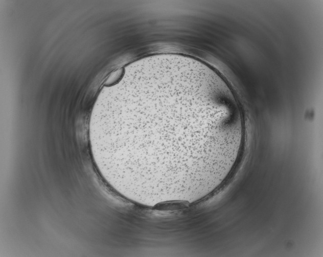 X0000113140857200910021438
