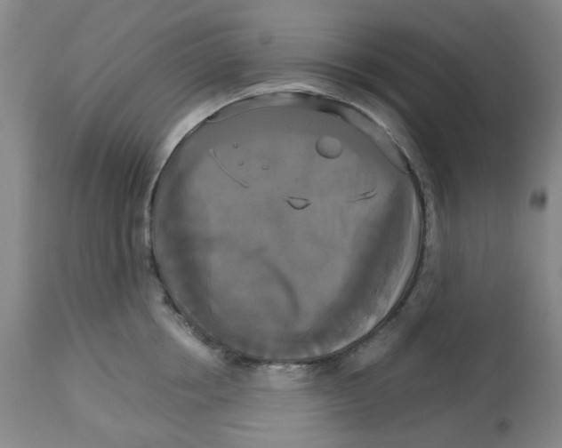 X0000113140858200910021438