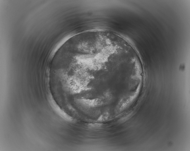X0000113140859200910021438
