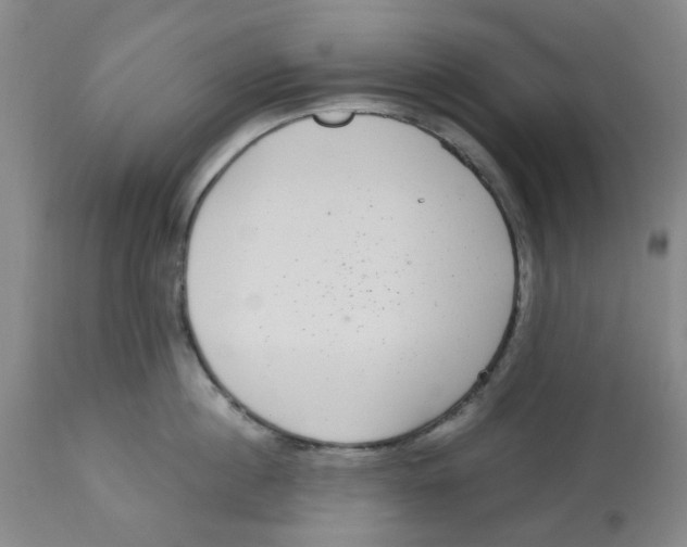 X0000113140860200910021438