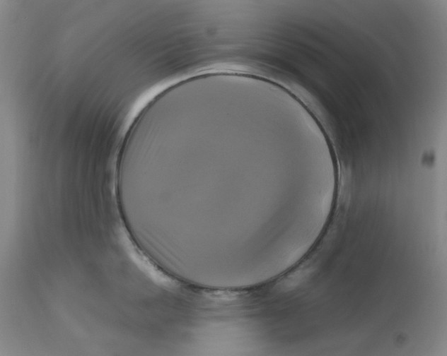 X0000113140862200910021438
