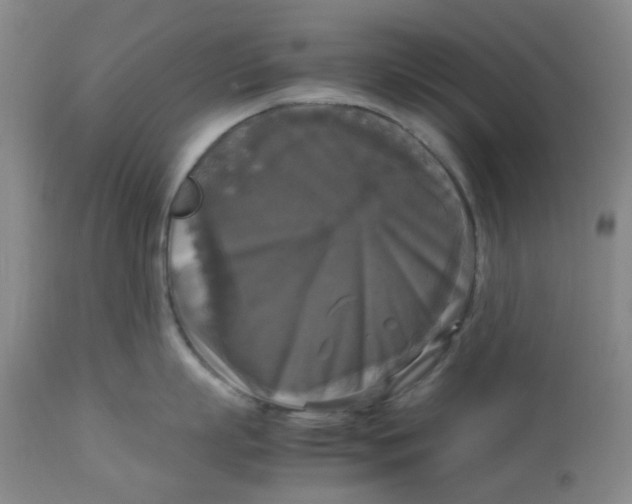 X0000113140863200910021438