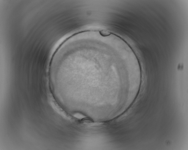 X0000113140864200910021438
