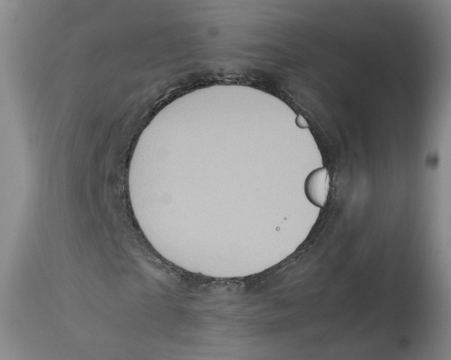 X0000113140865200910021438
