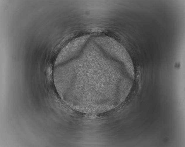 X0000113140866200910021438