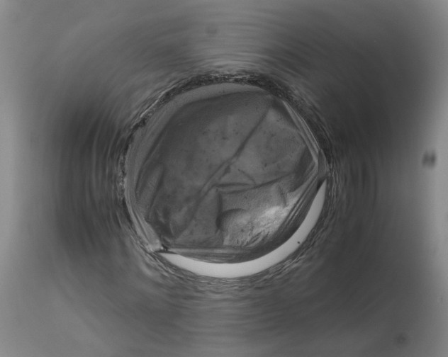 X0000113140868200910021437