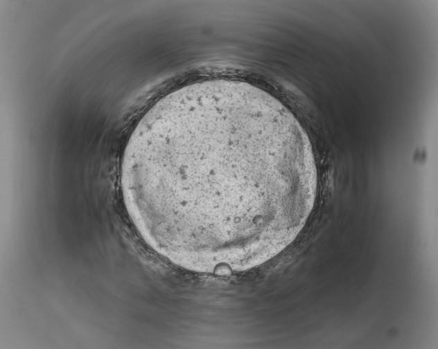 X0000113140870200910021437