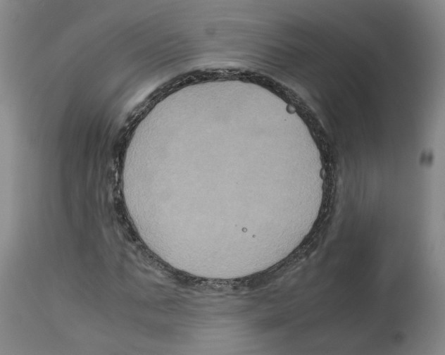 X0000113140871200910021437