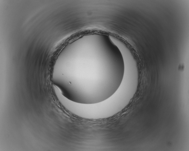 X0000113140872200910021437