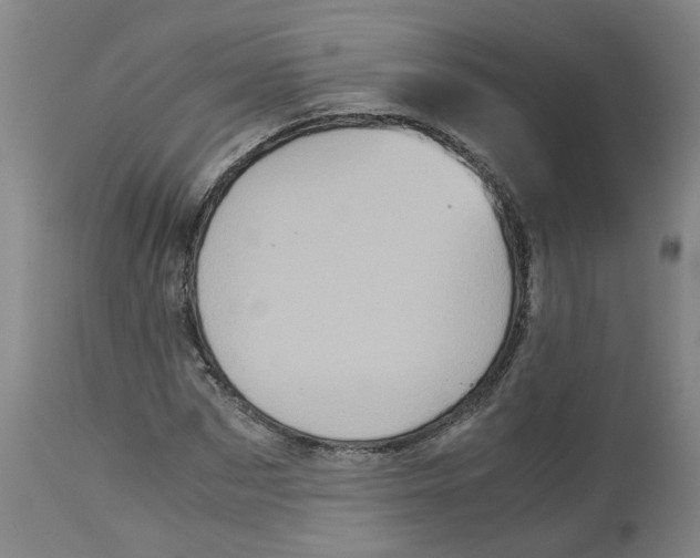 X0000113140873200910021437