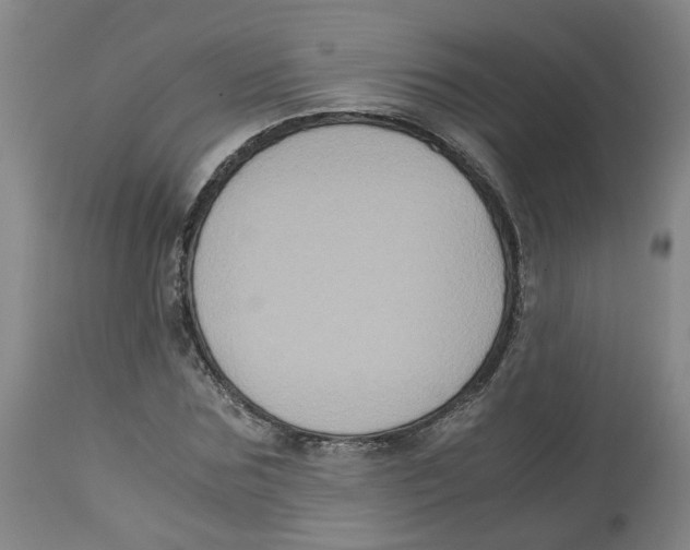 X0000113140875200910021437