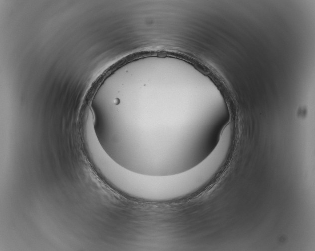 X0000113140876200910021437