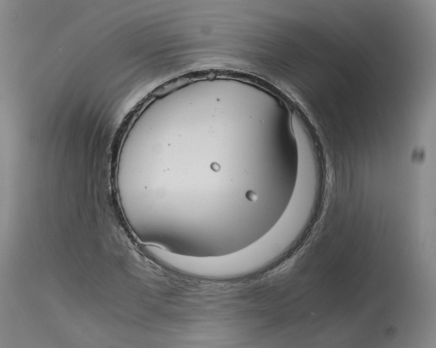 X0000113140877200910021437