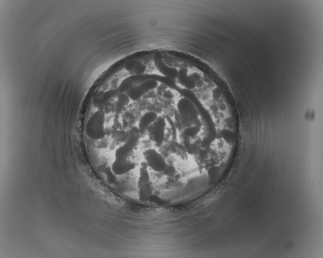 X0000113140879200910021437