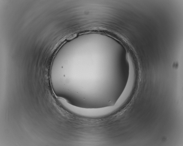 X0000113140881200910021437