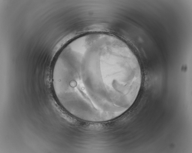 X0000113140882200910021437