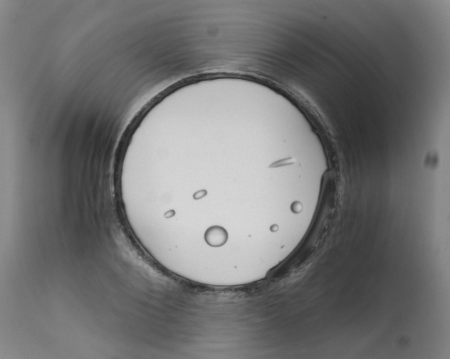 X0000113140884200910021437