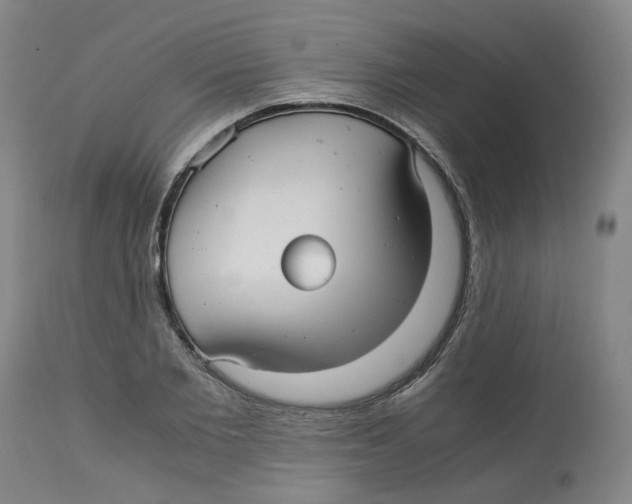 X0000113140885200910021437