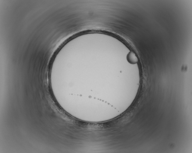 X0000113140887200910021437