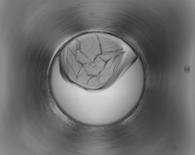 X0000113140892200910021437