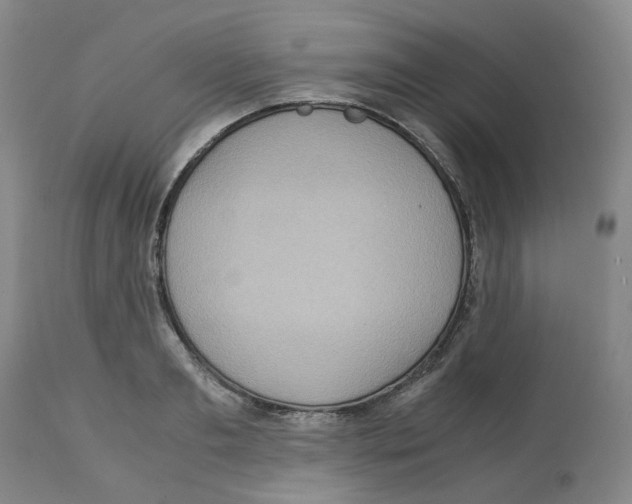 X0000113140893200910021437