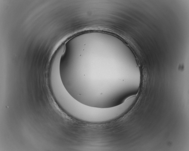 X0000113140896200910021437