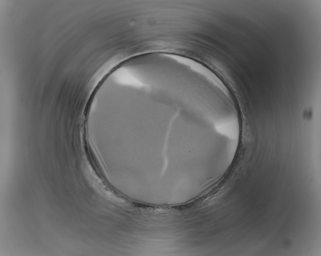 X0000113140899200910021437