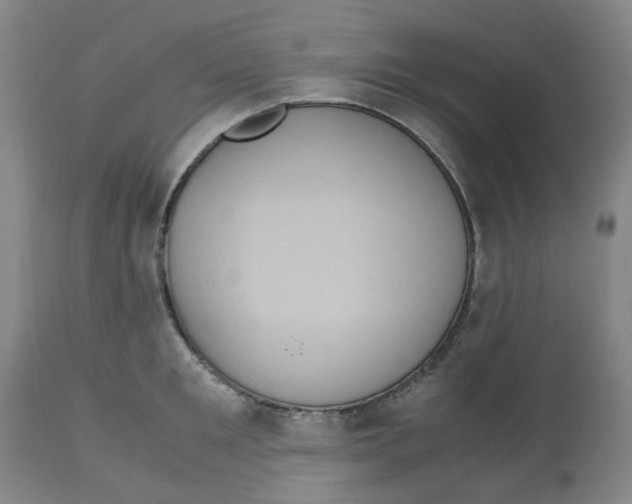 X0000113140901200910021437