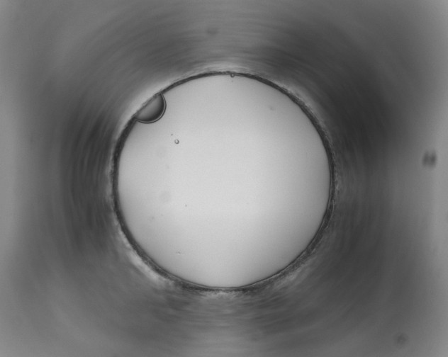 X0000113140902200910021437