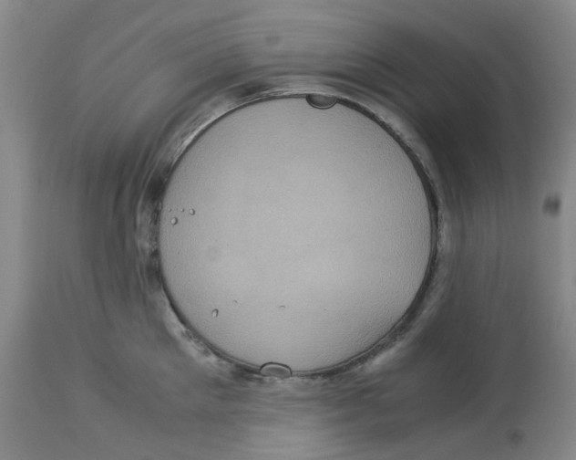 X0000113140905200910021437