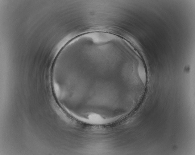 X0000113140907200910021437