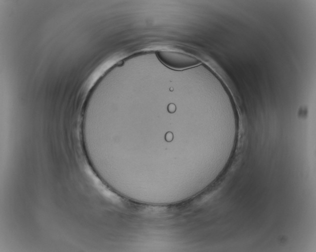 X0000113140909200910021437