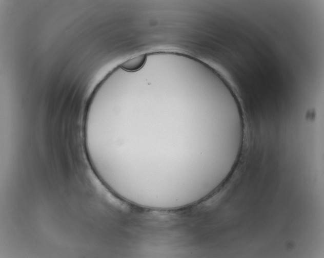 X0000113140910200910021437