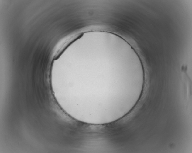 X0000113140912200910021437