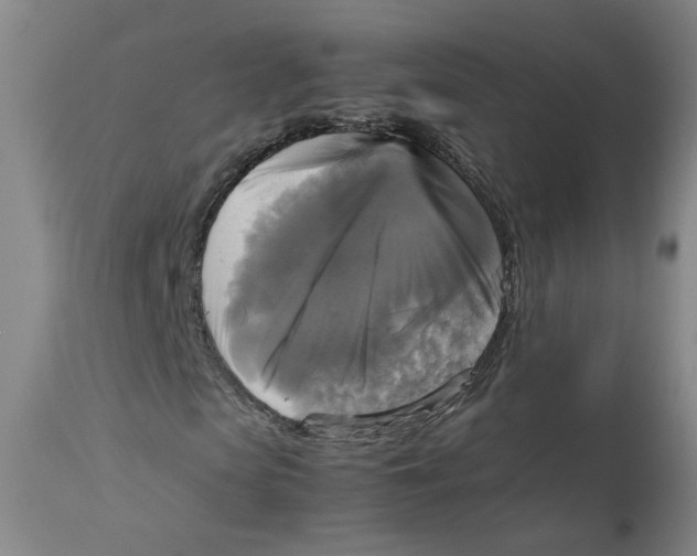 X0000113140913200910021436