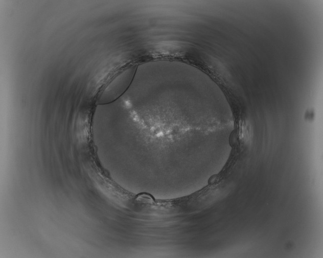 X0000113140915200910021436
