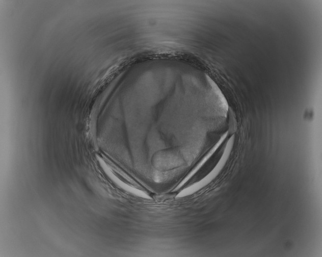 X0000113140916200910021436