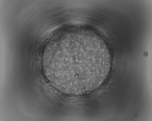 X0000113140917200910021436