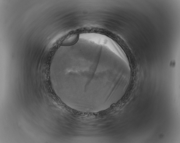 X0000113140919200910021436