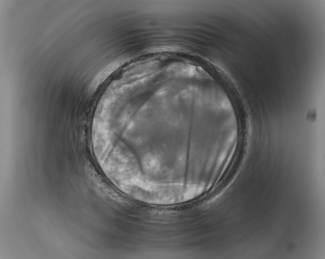 X0000113140921200910021436