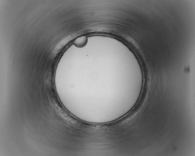 X0000113140922200910021436