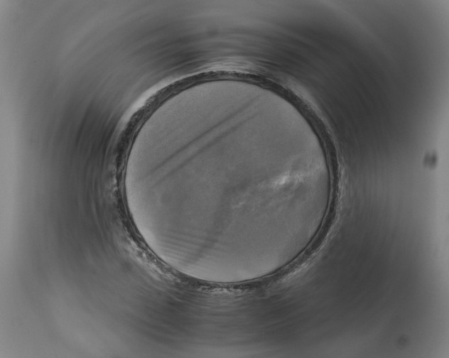 X0000113140923200910021436