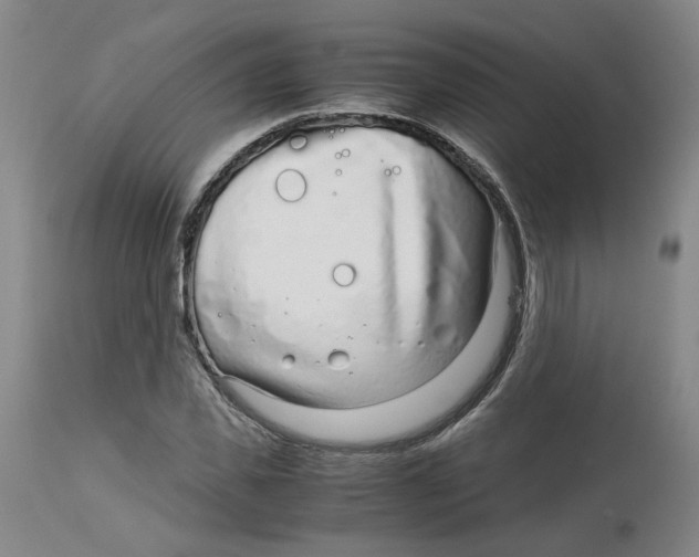 X0000113140925200910021436