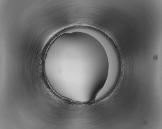 X0000113140926200910021436