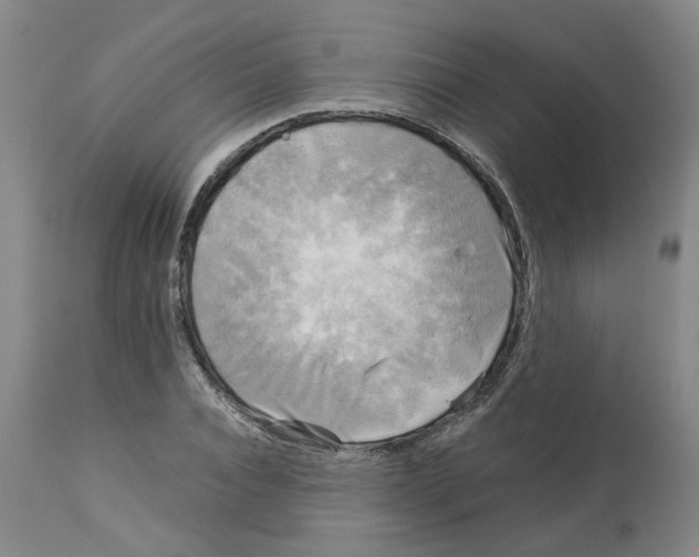 X0000113140928200910021436