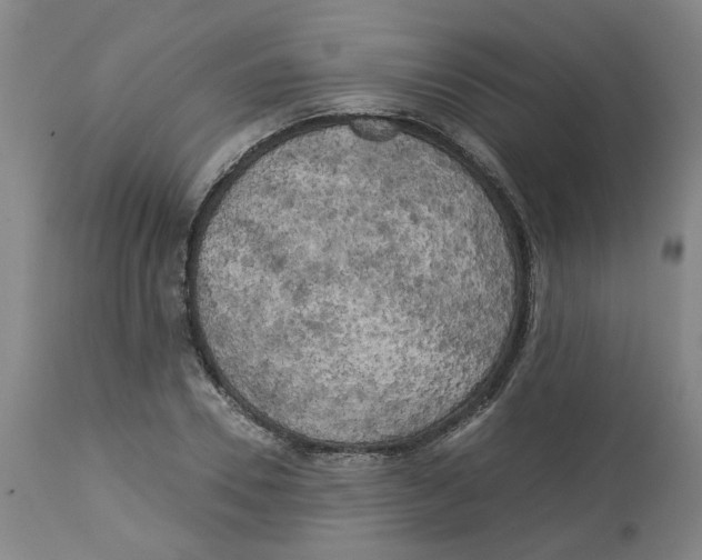 X0000113140930200910021436