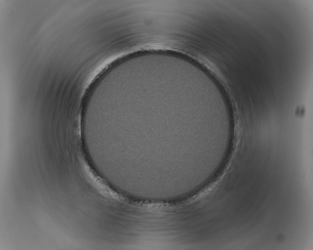 X0000113140934200910021437