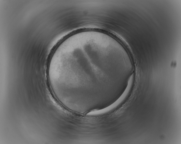 X0000113140935200910021437