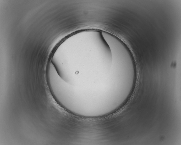 X0000113140936200910021437
