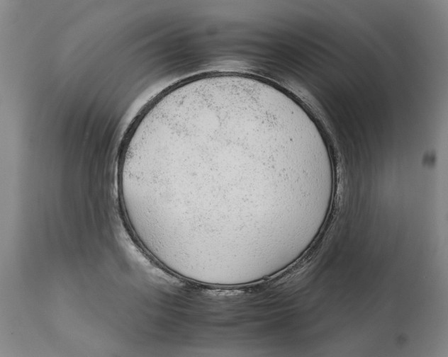 X0000113140939200910021437